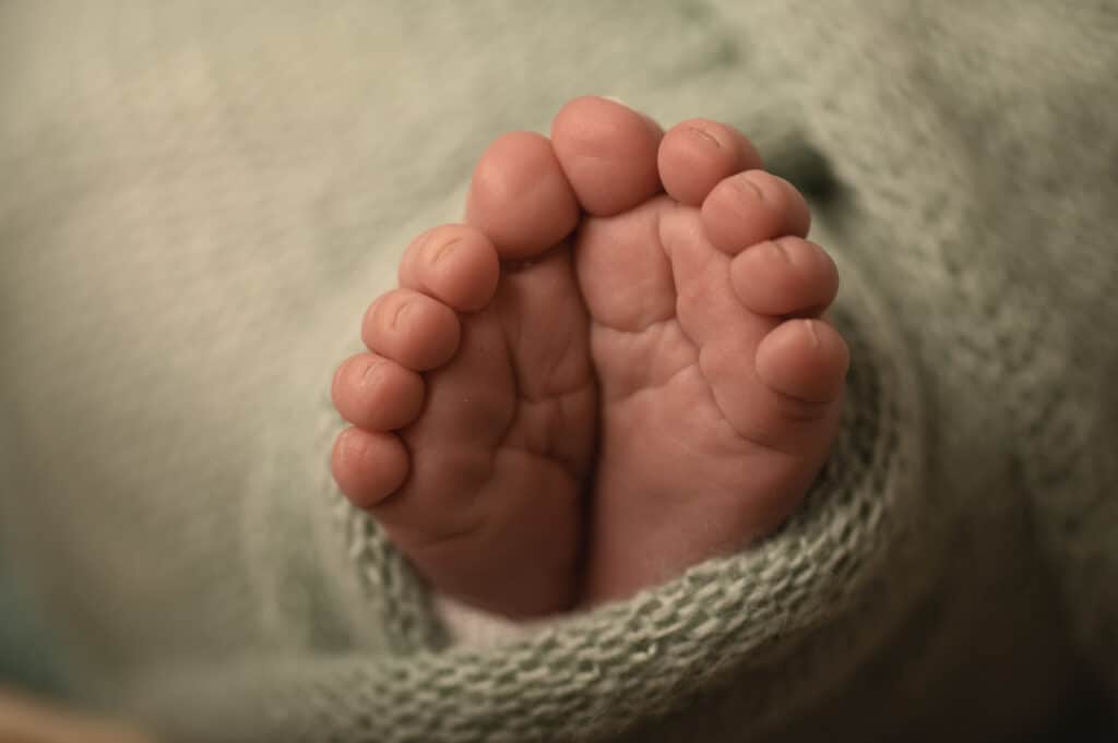 macro photo of newborn baby toes
