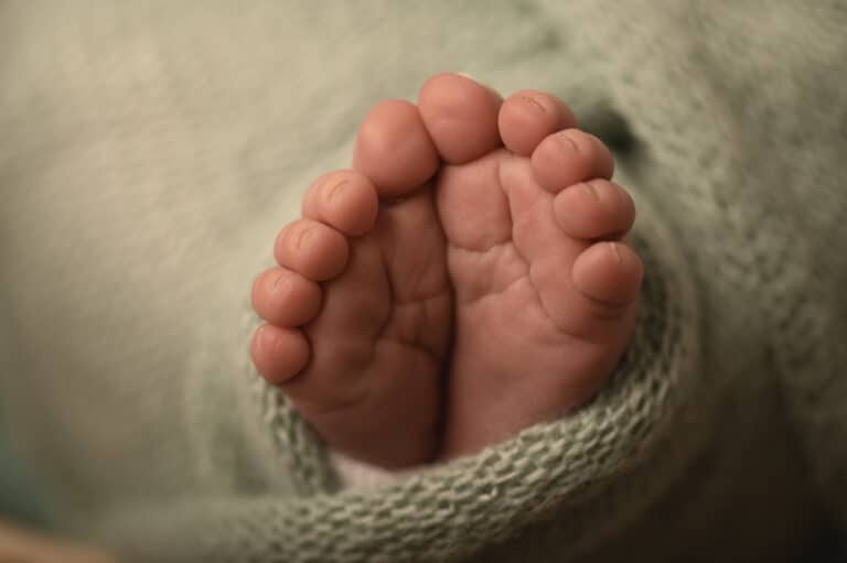macro photo of newborn baby toes